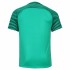 Мужская форма голкипера футбольного клуба Аталанта 2016/2017 (комплект: футболка + шорты + гетры)