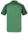Мужская форма голкипера футбольного клуба Монако 2016/2017 (комплект: футболка + шорты + гетры)