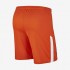Мужская форма голкипера футбольного клуба Челси 2017/2018 (комплект: футболка + шорты + гетры)
